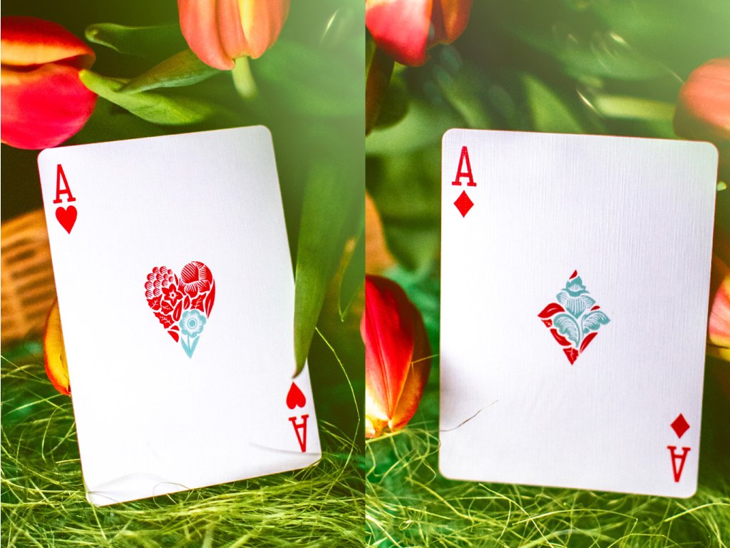 Butterfly Seasons Spring Summer Autumn Winter Marked Playing Cards by Ondrej Psenicka