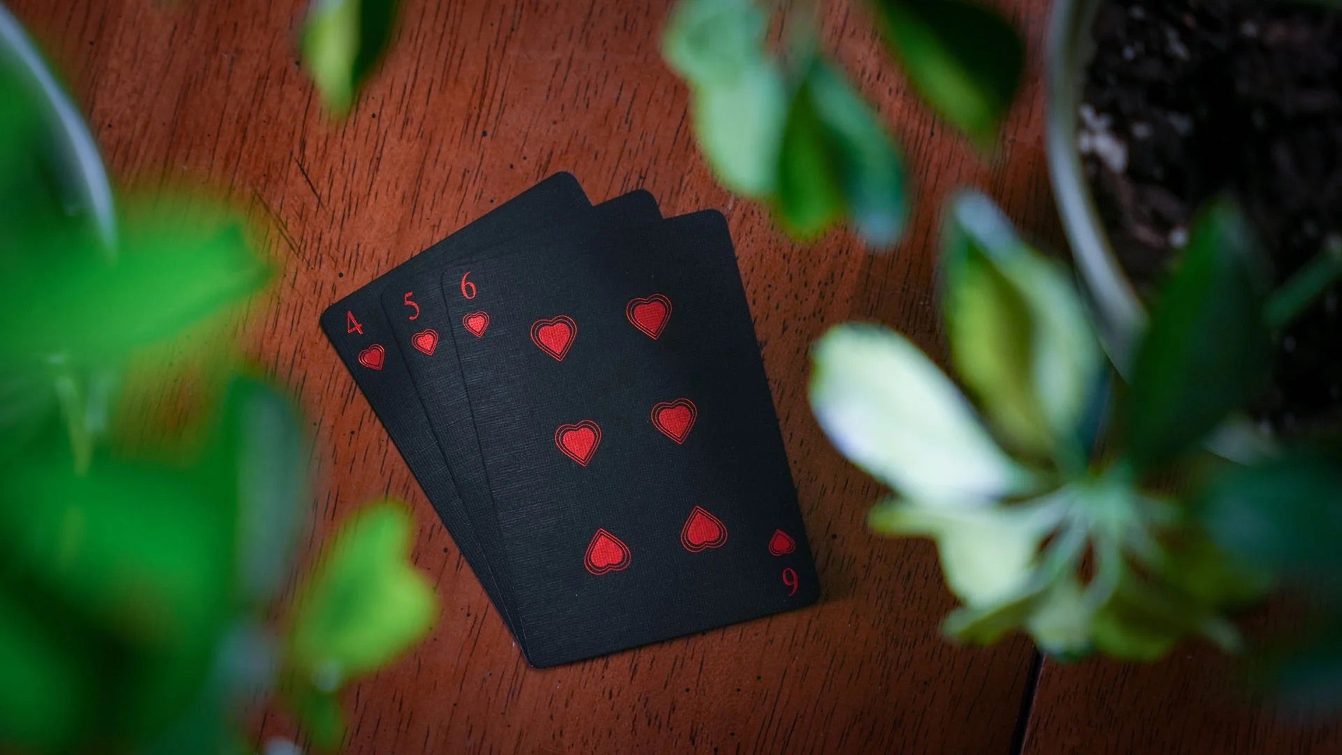 Labyrinthium Black Playing Cards
