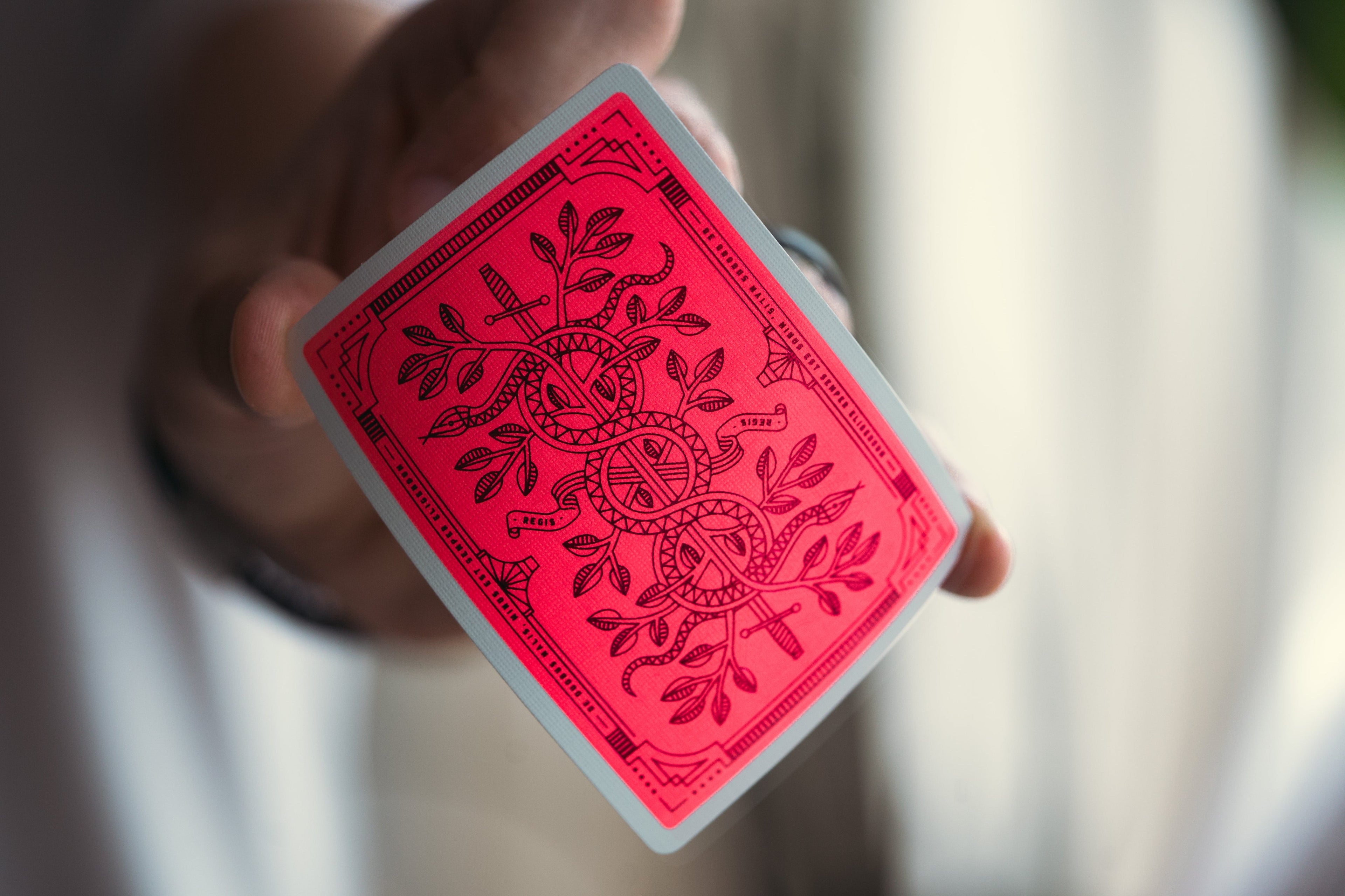 Monarch Summer 2024 Edition Playing Cards