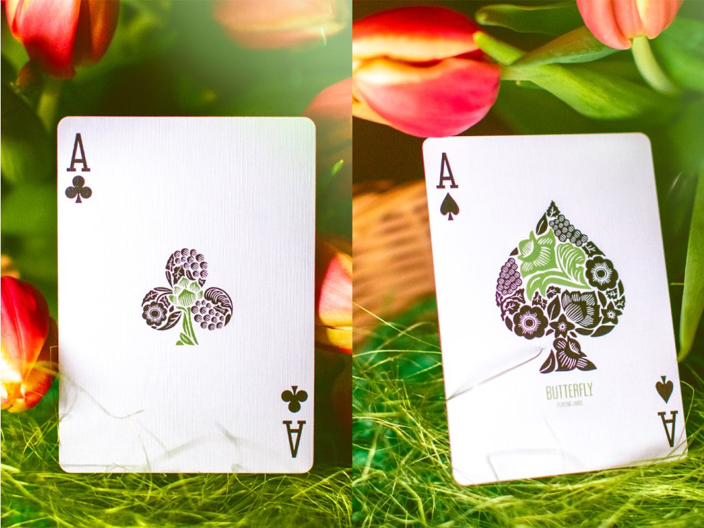 Butterfly Seasons Spring Summer Autumn Winter Marked Playing Cards by Ondrej Psenicka
