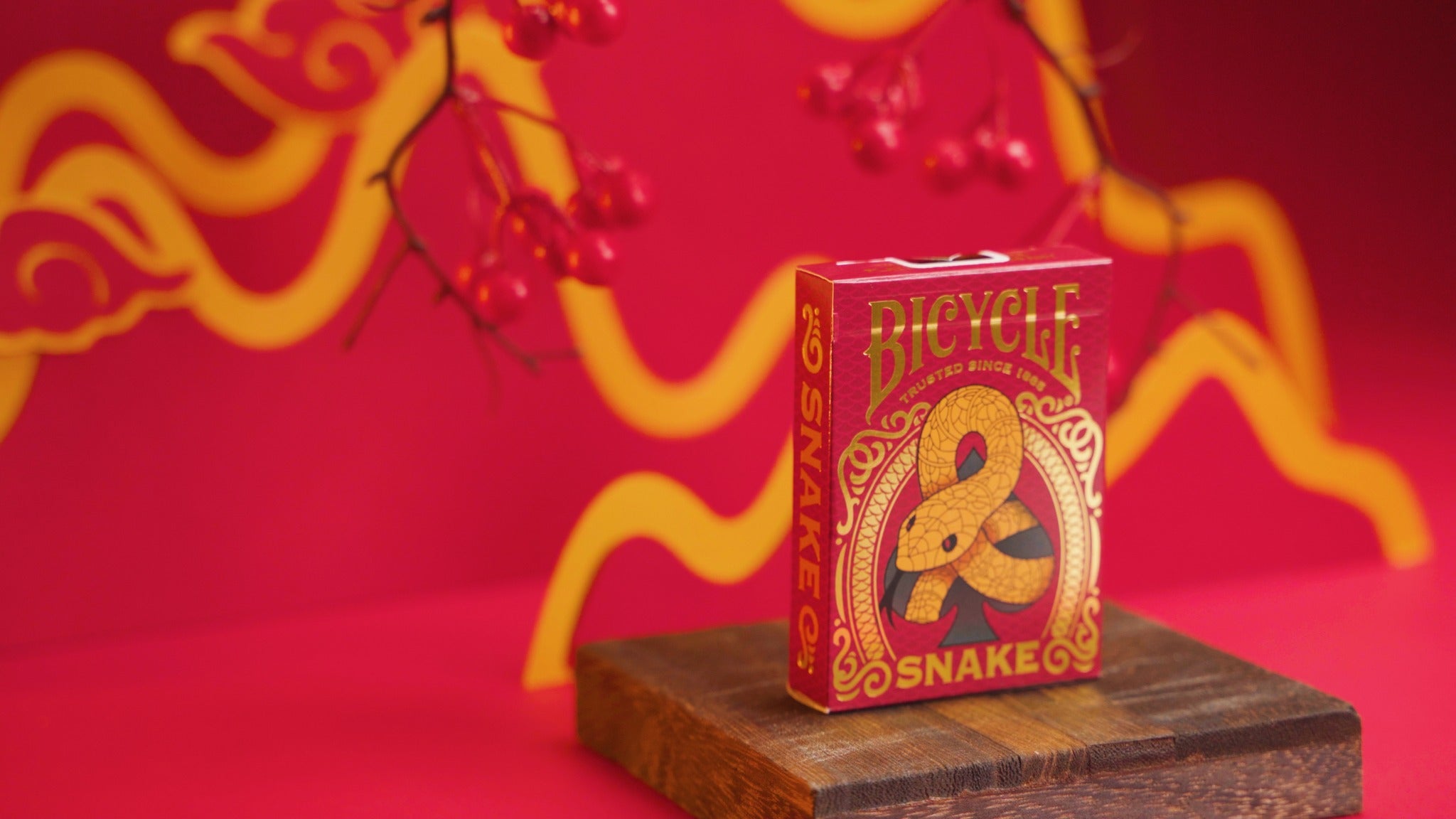 Bicycle Snake Playing Cards