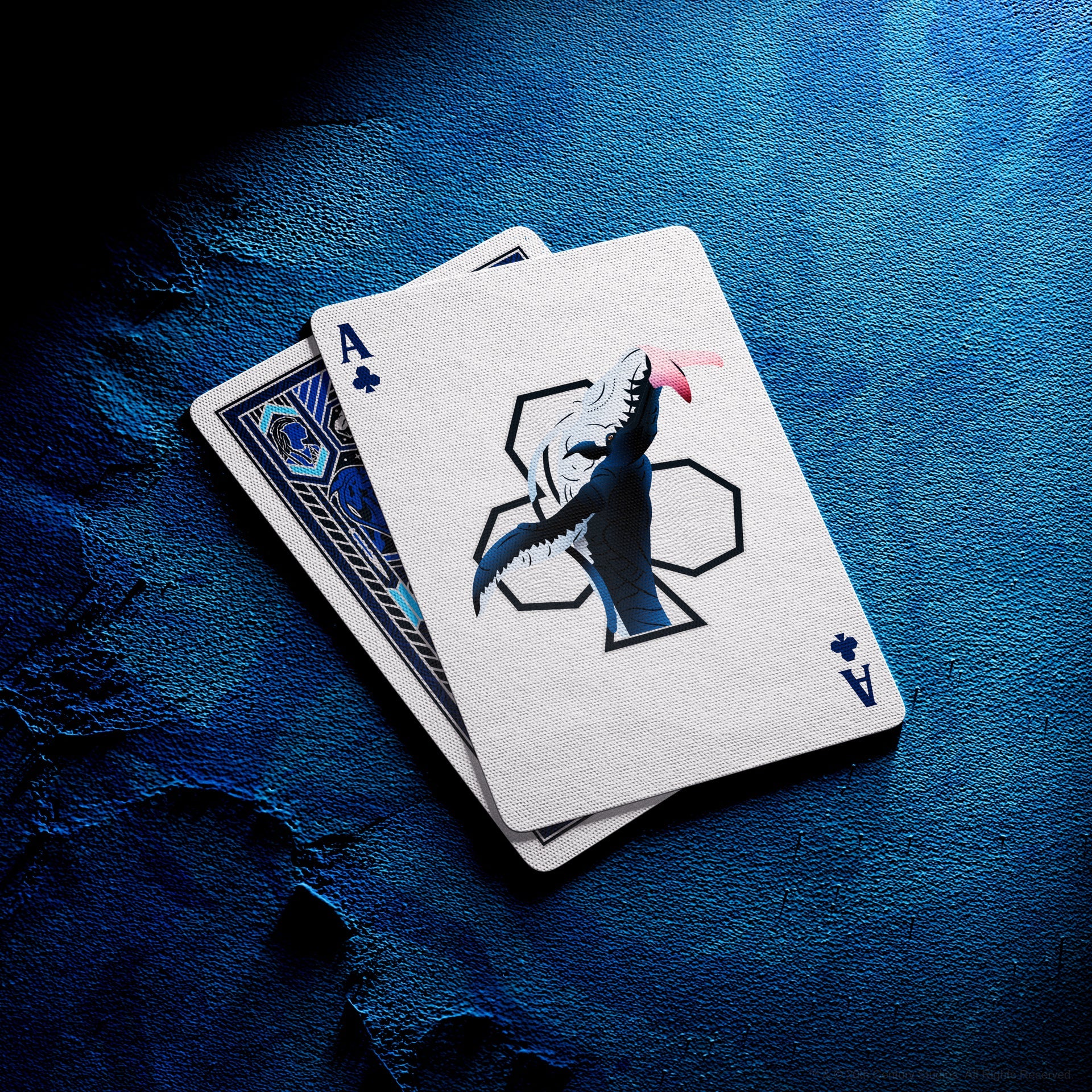 Avatar Playing Cards