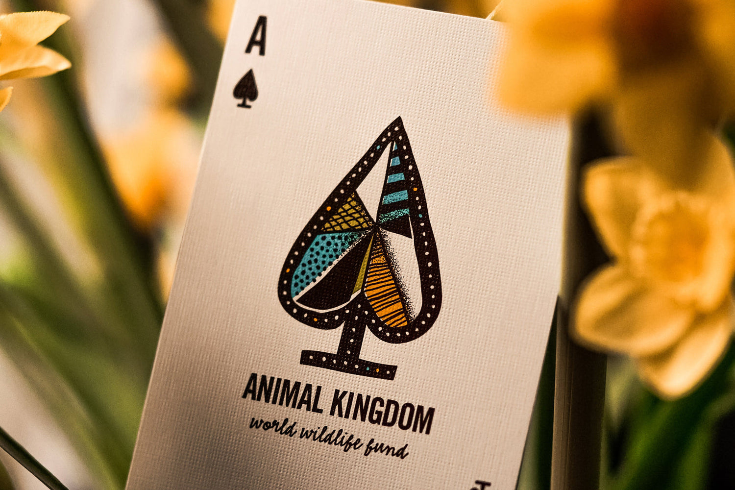 Animal Kingdom Playing Cards