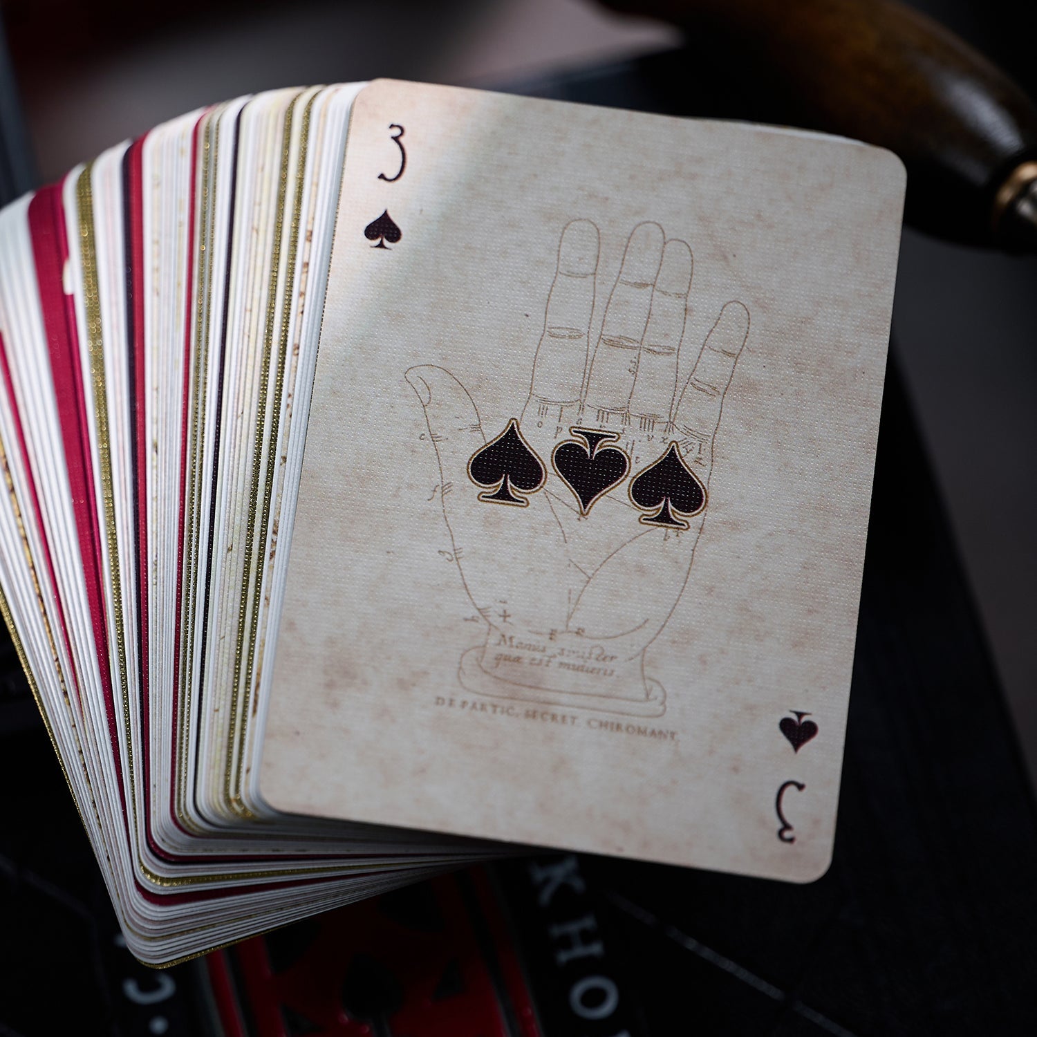 Anthology Deck Regular + Rejected Playing Cards Set