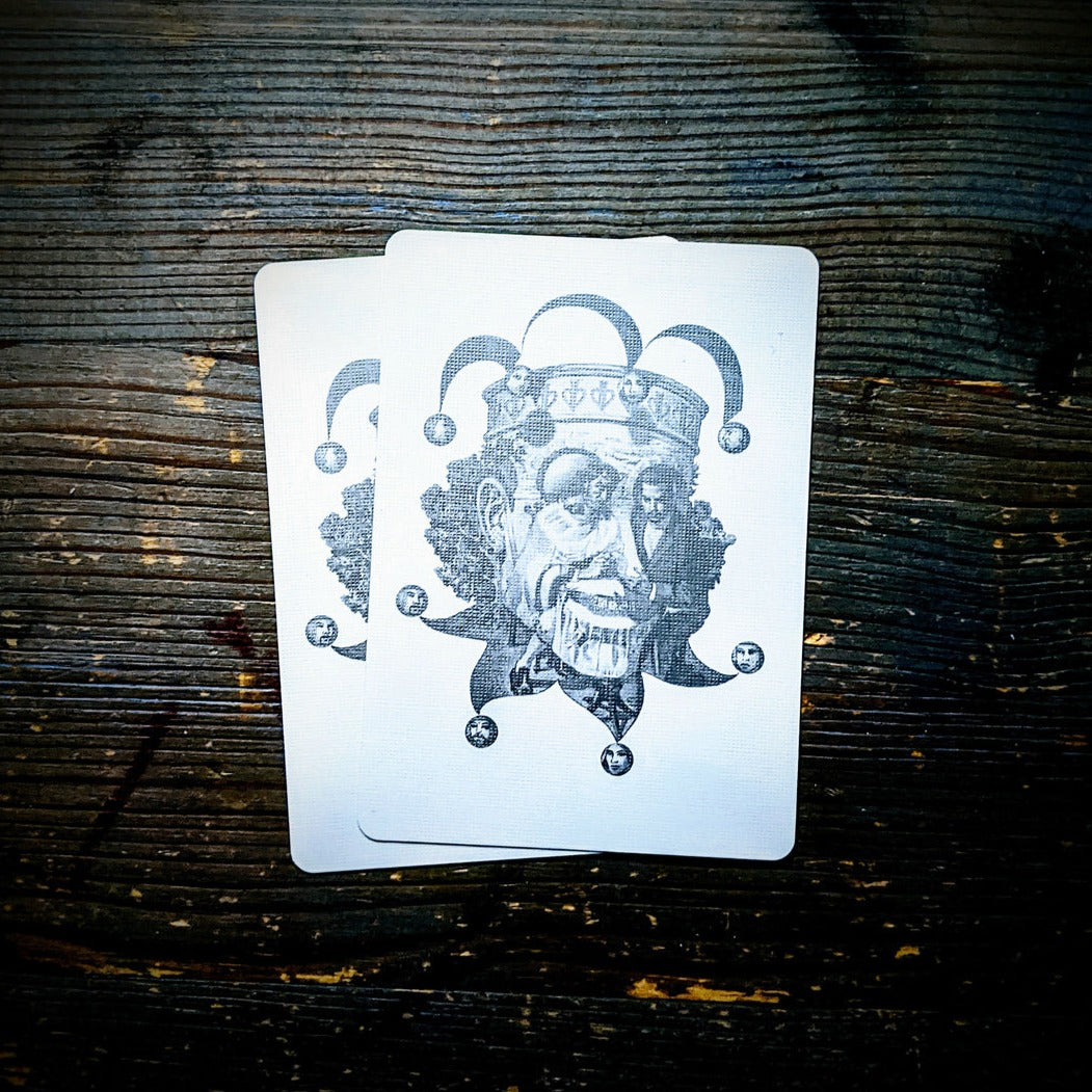Split Spades Lion Silver Edition Playing Cards