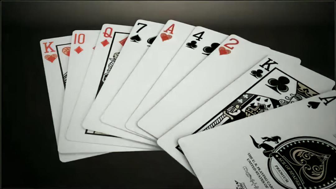 Bicycle Majestic Deck by Elite Playing Cards USPCC