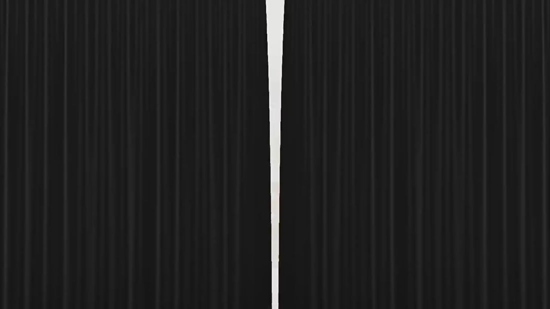 Bicycle Auspicious Beast Playing Cards Chinese New Year 2026