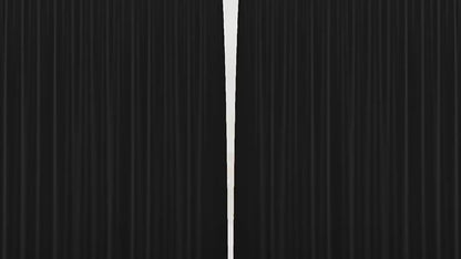 Bicycle Auspicious Beast Playing Cards Chinese New Year 2026